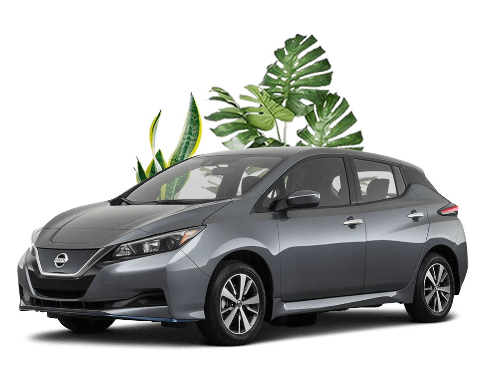 Car with plants