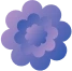 carbar flowers
